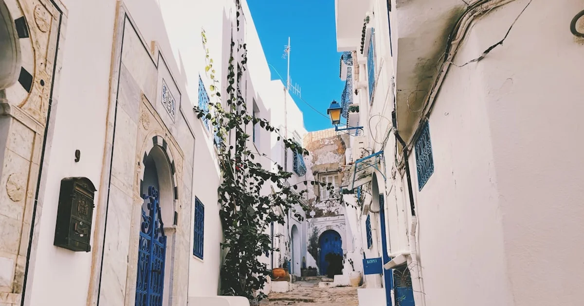 Paysage verdoyant du nord-ouest tunisien avec maisons traditionnelles